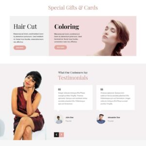 salon wordpress theme