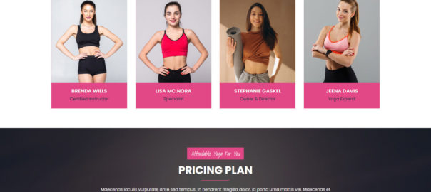 Yogis WordPress Theme