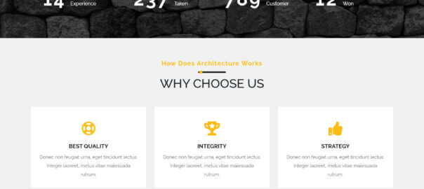 Builder WordPress theme