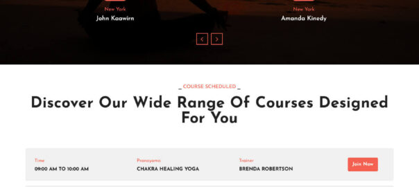 Yovibe WordPress Theme